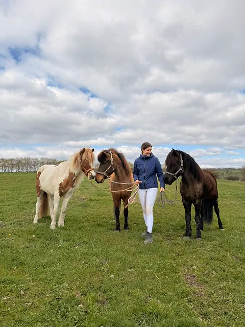 Lilian Sauter mit drei Islandpferden auf der Weide