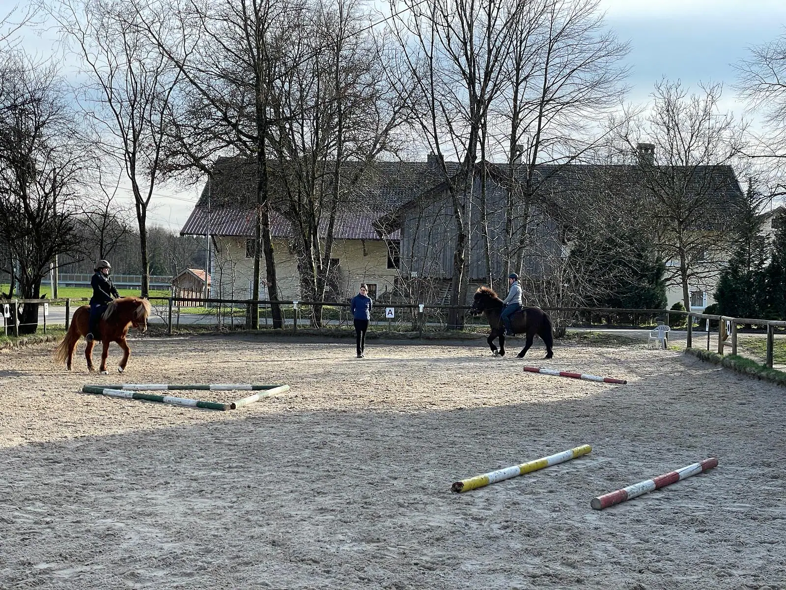 Reitunterricht im Raum Augsburg auf einem Sandplatz mit Stangenarbeit und zwei Islandpferden